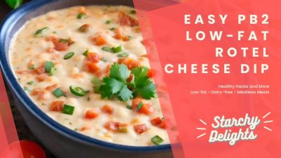 Low Fat Dairy Free Rotel Cheese Dip